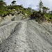 Wegpassage im Aufstieg zum Gnipen.