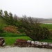 Hier ist von Anfang an klar, woher der Wind weht, im Hintergrund Loch na Claise, deshalb heißt "unser" Haus auch Lochside.
