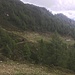 Il sentiero percorso dall'uscita del bosco all'alpe Buriale