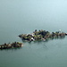 Zoom-Aufnahme der Brissago-Inseln
