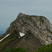 Fluebrig Diethelm - view from Turner.