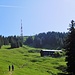 Aufstieg zum Grüntenhaus (1535 m)