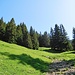Aufstieg zum Grüntenhaus (1535 m)