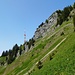 Abstieg zur Zweifelgehren Alpe (1440 m)