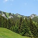 Abstieg zur Alpe Weiherle (942 m)