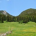 Zurück an der Alpe Weiherle (942 m), dem Ausgangspunkt unserer Rundtour