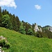 Abstieg zur Oberen Schwandalpe