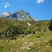 Auf dem Weg ins Val Dadens: Ursprüngliche, weglose Berglandschaft oberhalb Tschegn Dadens Sut. Hoch oben grüssen die Gipfel Cavistrau Grond (links; 3252m), Cavistrau Pign (3220m) und P.3058m (Piz Tumpiv Südgipfel).