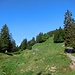 Unterwegs zur Oberen Gelchenwangalpe (1580 m)