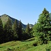 Unterwegs zur Oberen Gelchenwangalpe (1580 m)