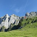 Blick in die Route von der Alp Schwaldis. Rot markiert ist die Legföhrengruppe, welche es anzupeilen gilt.
