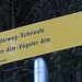 Ich folge gleich zu Beginn dem einzigen Wegweiser, den ich passiere, zur Seapn Alm und zur Vögeler Alm.