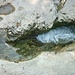 Das Wasser hat sich in den Kalkstein geschnitten.