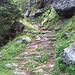 Sur le Stockalperweg. 