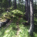 Le vieux sentier montant à Dristul. 