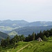 Die Alp Hinterwengi und das ZH-Oberland im Hintergrund links und Ausläufer vom Toggenburg rechts