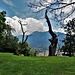 La vista da Curzutt.