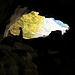 In der grössten Sandsteinhöhle bei Liebegg.
