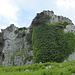 Bewuchs an der Rocca Leone