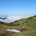 ... kurz vor Erreichen des Passes;
links im Hintergrund Mont Baron, mittig das Nebelmeer überm Léman, rechts die Alp Neuva dessus