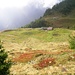 Sopra l'Alpe Vallaro
