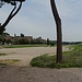 Am Circus Maximus, im Hintergrund Palatin und Caelius.