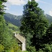 Alpe Borca