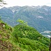 Bosco dell Erbi. Auf der Suche nach dem alten Weg zur Alp Tramossa. Auf dem Grat nahe P. 1550. Mit Blick ins Maggiatal.
