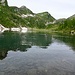 Lago Alzasca. Artus schwimmt im See.