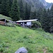 Rifugio / Alpe Gamba in Fora