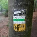 Auf der gleichen Strecke verläuft der Weg P, der aber bald nach links abzweigt. 