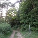 Zwischen Wanderwegtafel und Gasthof führt der grüne Strich in den Wald.