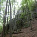 ...und weglos auf etwa gleichbleibender Höhe den Hang ca. 100 Meter nach links queren.