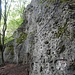 Der Kinderklettersteig Via Ferrata Piccoli quert eine Felswand kaum einen Meter über dem Waldboden.