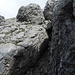 Kurzer Kamin (I+) im Abstieg von der Hochgehrenspitze 