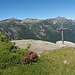 Alpe Agazzuoi