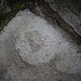 Santuario di San Romedio: una sezione di ammonite nel calcare degi scalini. 