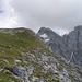 Zum Gipfel des Riffeltorkopf - von Norden eine beeindruckende Wand - geht es auf sanften Wiesen