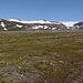 Arktische Heidelandschaft