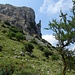 Im Abstieg durch das Tälchen zwischen Monte Macabubbo und Monte Puraccia 