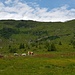 Blick von der Platschalm in Richtung Gipfel