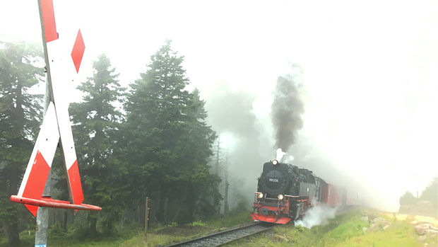 Brockenbahn am Abzweig Goetheweg<br /><br />von [u Runner] zur Verfügung gestellt