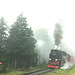 Brockenbahn am Abzweig Goetheweg<br /><br />von [u Runner] zur Verfügung gestellt