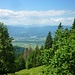 Erste Blicke zum See von Bled tun sich auf.