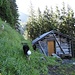 Eine der zwei Jägerhütten bei Chli Landerstil