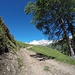 <b>Da qui via ho il piacere di affrontare un percorso a me sconosciuto, a cominciare dall’Alpe Stabbiello (1819 m), o Stabiello, che offre uno sguardo mozzafiato sul Gerenhorn e sul Pizzo Pesciora.</b>