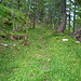 L'ancien chemin forestier de Chalte Brunne, devenu simple sentier.