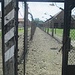 Reticolati, fili elettrificati, baracche malsane (ce ne sono 37), questo è lo scenario agghiacciante di Auschwitz I. I prigionieri qui rinchiusi, sopravvivevano da uno a tre mesi.