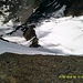 Blick vom Hochfirst über das vor mir liegende Abstiegsgelände. Ich entscheide mich, auf dem Gletscher über den Normalweg abzusteigen (ganz rechts).