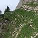 Dernier couloir avant le col